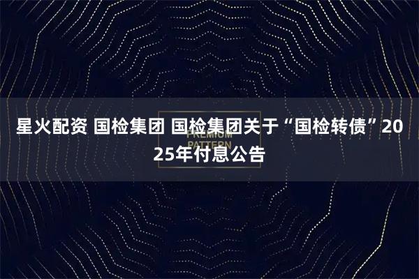 星火配资 国检集团 国检集团关于“国检转债”2025年付息公告