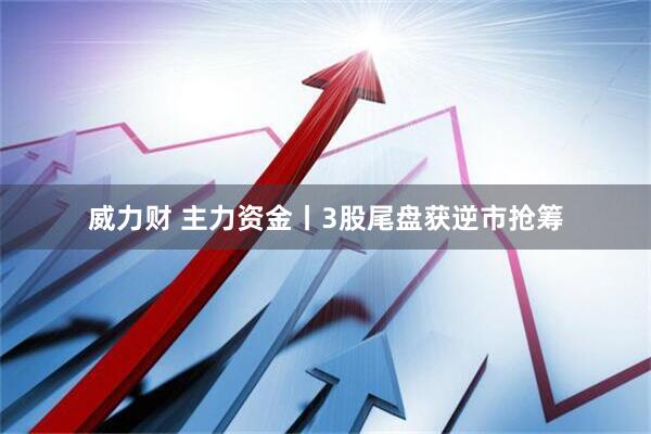 威力财 主力资金丨3股尾盘获逆市抢筹
